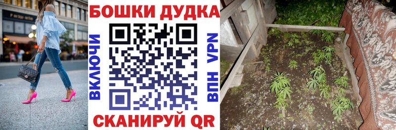 mega маркетплейс  где можно купить   Облучье  Шишки марихуана план 